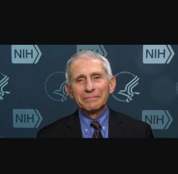 Fauci Meme Template