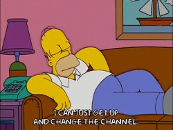 Homer Simpson I can just get up and change the channel Meme Template