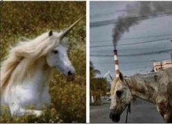 Unicorns Meme Template