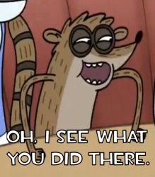 Regular Show Rigby I see what you did there Meme Template