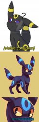Umbreon visible confusion and internal screaming Meme Template