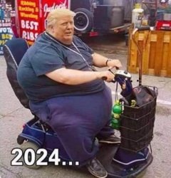 person fatty shop cart 2024 Meme Template