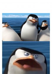 Penguins Meme Template