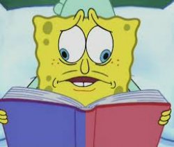 Spongebob reading two pages Meme Template
