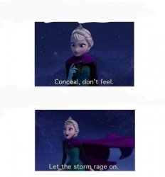 Conceal, don't feel Meme Template