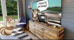 Furret Watching TV Meme Template
