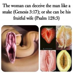 Genesis 3:17 Meme Template
