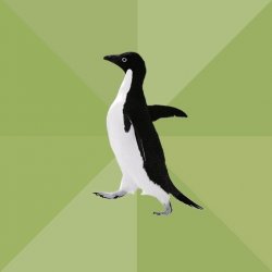 Socially Average Penguin Meme Template