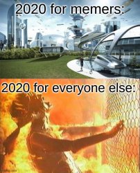 Memers 2020 Meme Template