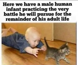 infant chasing pussy Meme Template