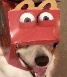 Corgi Happy meal Meme Template