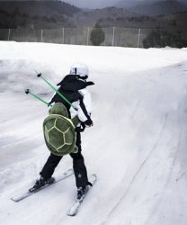 Skiing turtle Meme Template