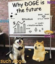 Doge and Lil’ G Meme Template