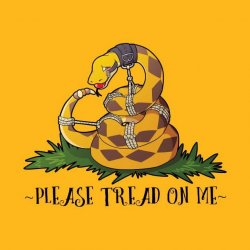 Gadsden flag please tread on me Meme Template