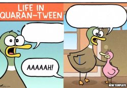 Life in Quaran-Tween Meme Template