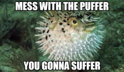 puffer fish Meme Template