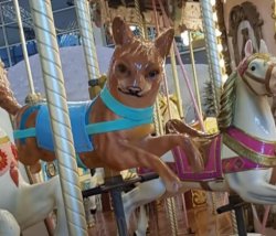 Carousel Meme Template