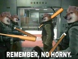 Remember, no horny. Meme Template