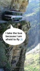 afraid to fly Meme Template