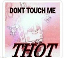 Don’t touch me thot Meme Template