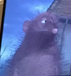 ratatouille Meme Template