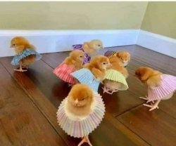 Chicks In Short Skirts Meme Template