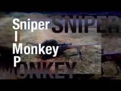 Yeah, i'm a simp, Sniper Monkey Meme Template