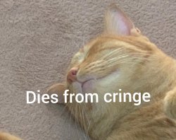 Cat dies from cringe Meme Template