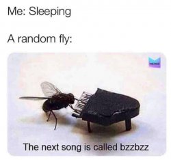 The next song is called bzzbzz Meme Template