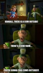 There's a cow farm, you're gonna find cows outside Meme Template