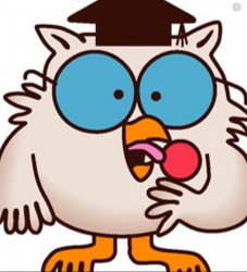 Tootsie Roll Owl Meme Template