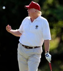 Trump golf obese Meme Template