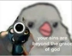 Your sins are beyond the grace of God bird Meme Template