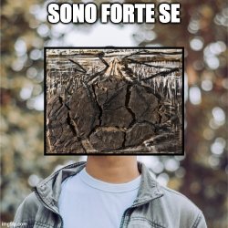 Fragilità resistente Meme Template