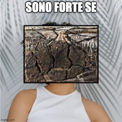 Fragilità resistente Meme Template