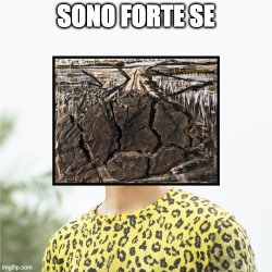 Fragilità resistente Meme Template