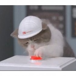 Cat Pushing Button Meme Template