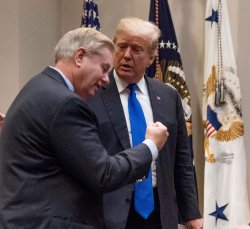 Lindsey Trump Handjob Meme Template