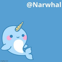 narwhal announcement temp Meme Template