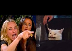 white cat table mustache Meme Template