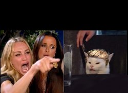 White cat table blonde Meme Template