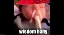 Wisdom Baby Meme Template