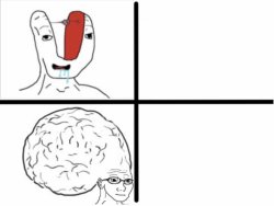 Meme Generator - Brain Mask Wojak vs. Big Brain Chad Wojak - Newfa