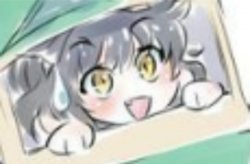 Extremely nervous kitten time Meme Template