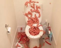 Sausage shitter Meme Template