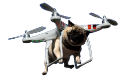 Pug Drone sticker Meme Template