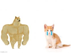 Cat vs. dog template Meme Template