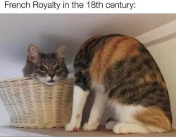 French royalty in the 18th century Meme Template