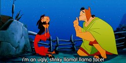 Emperors new groove llama face Meme Template