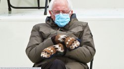 bernies mittens Meme Template